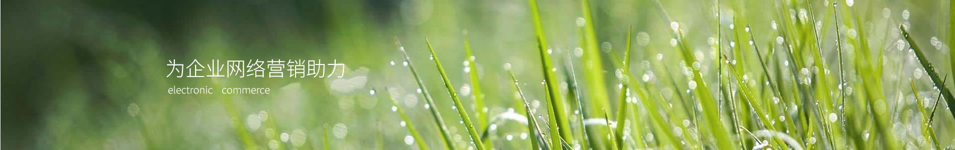 ӱҵƼ޹˾